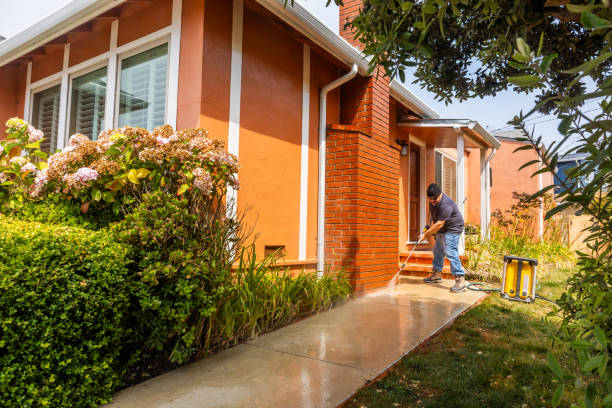 Best Power Washing Near Me  in Holley, FL